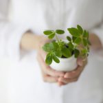 Stillaウェブサイト只今リニューアル作業中です