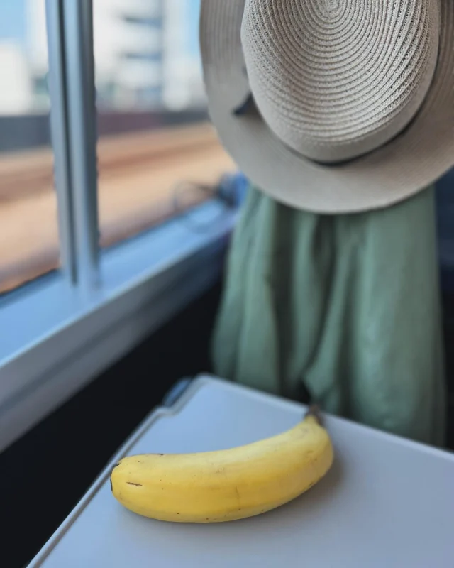 特急あずさにて朝バナナ🍌
そういや去年も同じ電車で朝バナナ🍌食べたっけ。  今日はこれから山梨NARD JAPAN の農場研修🧑‍🌾
受講生の方々と一緒です。
今年のダマスクローズ畑はどんな感じかしら。  そうそう。
生徒さんにも朝バナナ🍌食べている方がいましたよ😊  #旅 #特急あずさ #朝バナナ #バナナ #山梨 #農場研修 #ハーブ #ローズ #ダマスクローズ #ナードアロマテラピー協会認定校 #ナードアロマテラピー協会 #nardjapan認定校 #ナードジャパン認定校 #アロマ #アロマテラピー #メディカルアロマ #フランス式アロマ #フランス式アロマテラピー #stillaアロマ